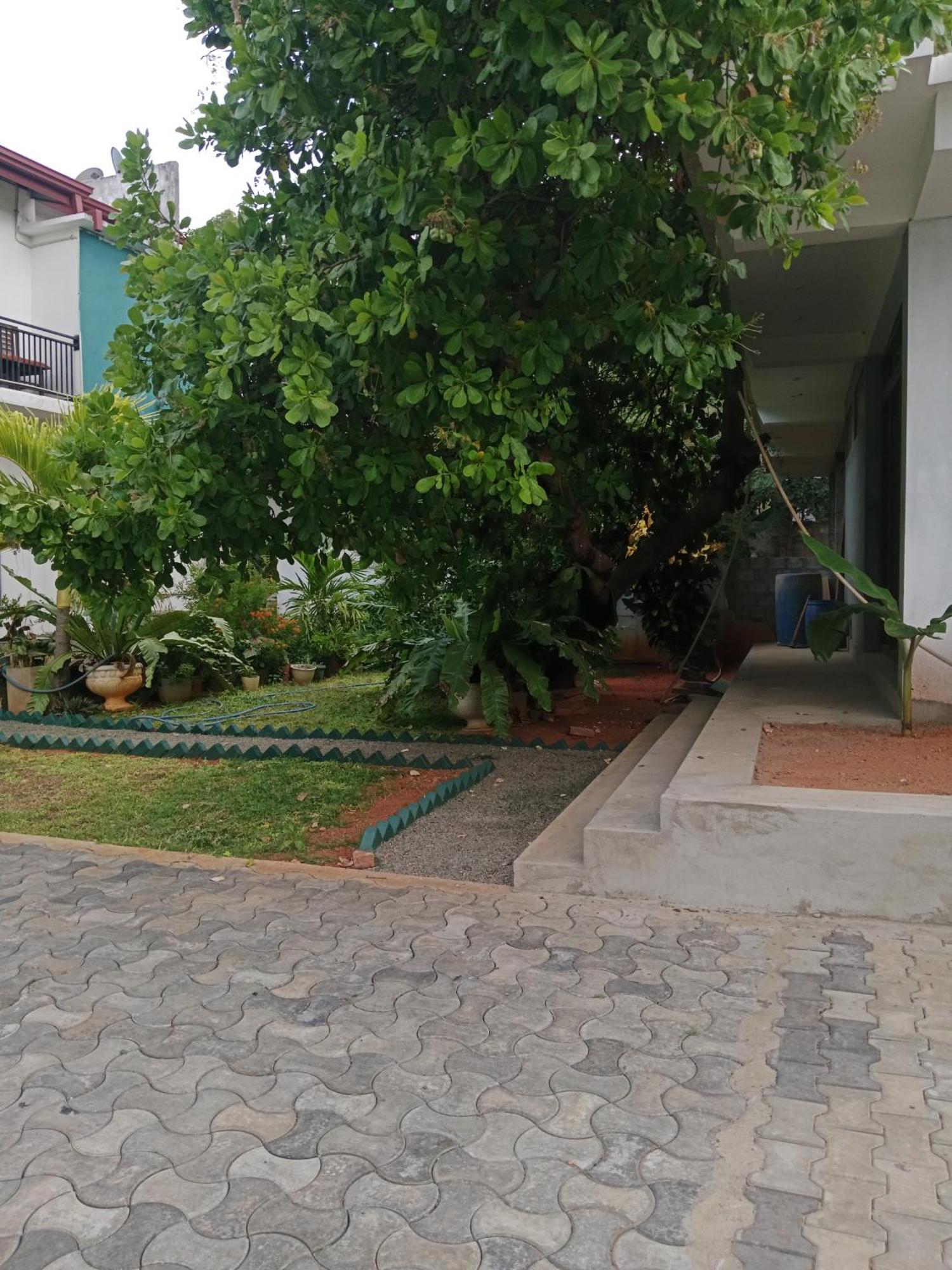 Home Stay Resort Nilaveli Eksteriør billede